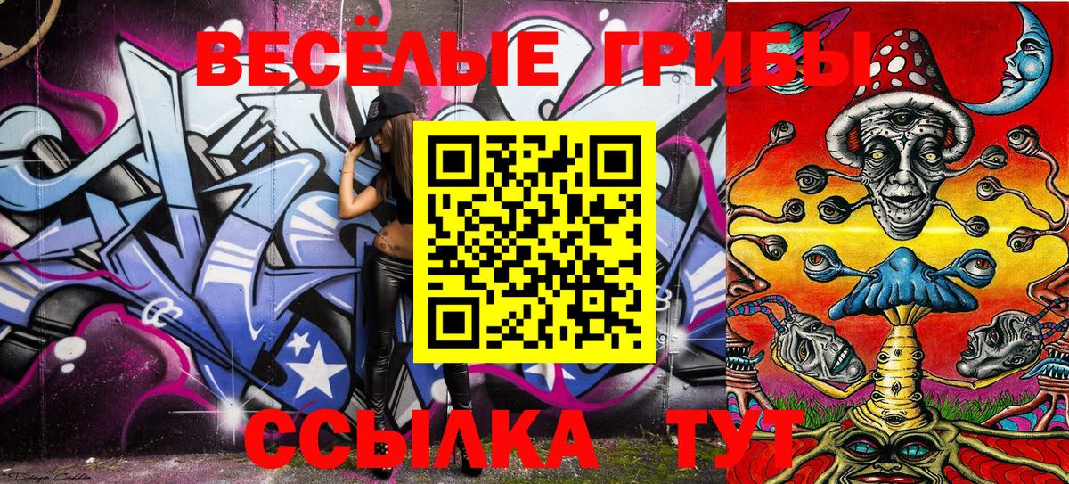 Галлюциногенные грибы Psilocybe Шахты
